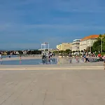 Purple Summer * Zadar