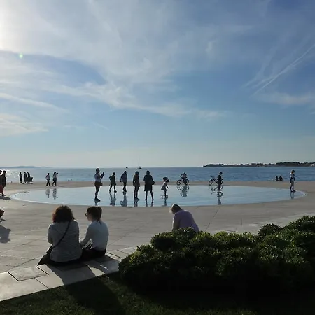 Purple Summer Zadar