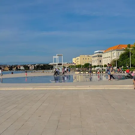 Purple Summer City * Zadar